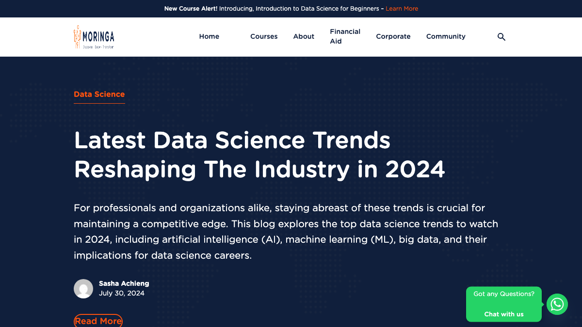 Moringa School preview